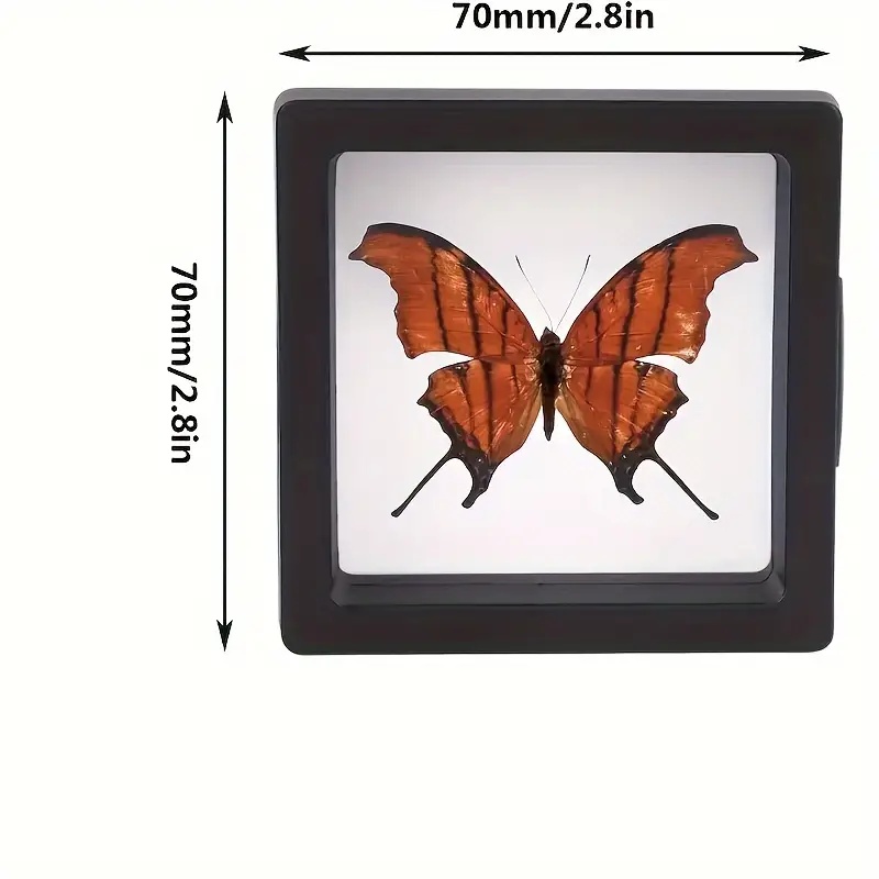 20 Buah Clearview 3D Kotak Dis - Display Case Acrylic ulasan dan harga